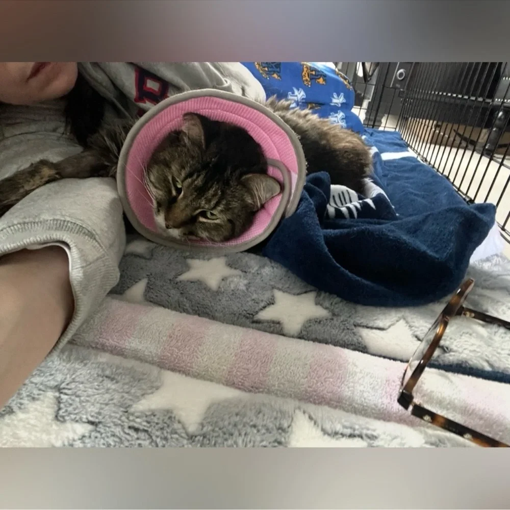 NWT Xersion Workout Tank - Picture 5 of 8